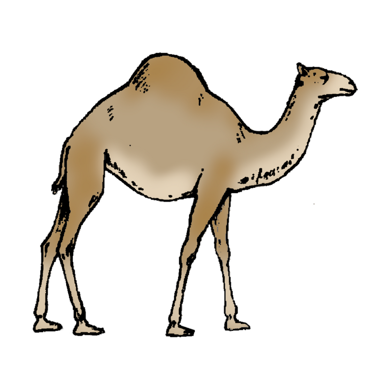 ajámal