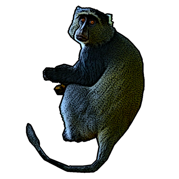 cʼánʉ́