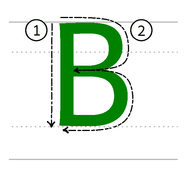 B