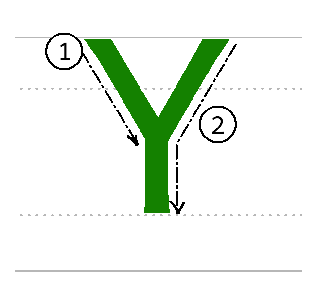 Y