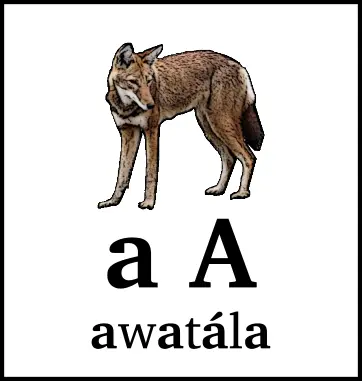 a A