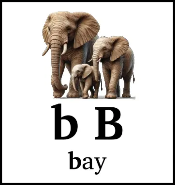 b B