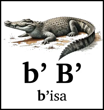 bʼ Bʼ