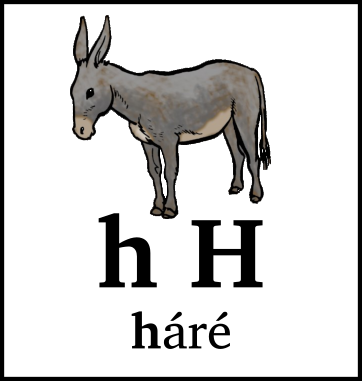 h H