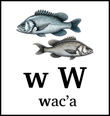 w W