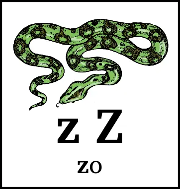 z Z
